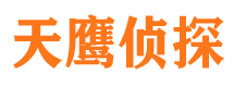 公安侦探公司